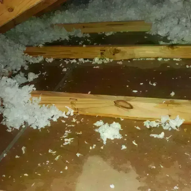 Attic Water Damage in New Glarus, WI